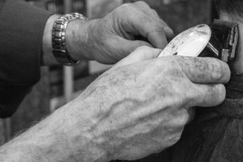 tony_Chilton_2012_11_19_brief_Page_10_Image_0001