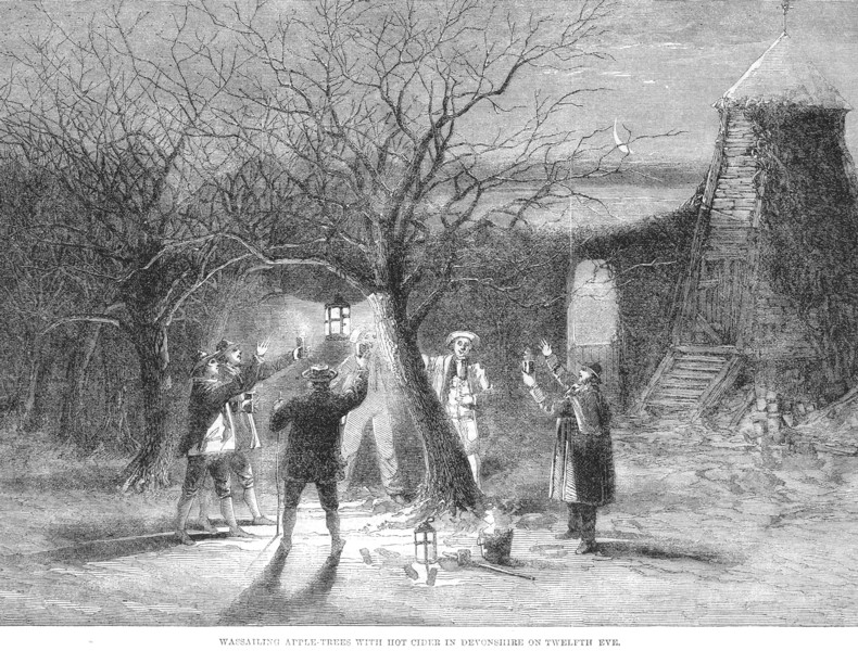wassailing-devon